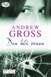 Den blå sonen av Andrew Gross (Heftet)