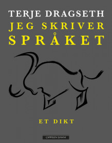 Jeg skriver språket av Terje Dragseth (Ebok)