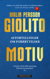 Motiv av Malin Persson Giolito (Innbundet)