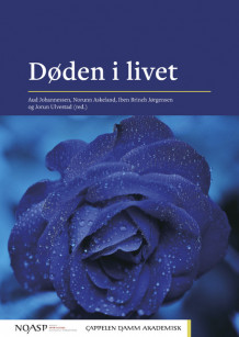 Døden i livet av Aud Johannessen, Norunn Askeland, Iben Brinch og Jorun Ulvestad (Heftet)