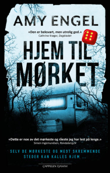 Hjem til mørket av Amy Engel (Innbundet)