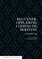 Begynneropplæring i lesing og skriving av Marte Monsen og Guri Bordal Steien (Heftet)