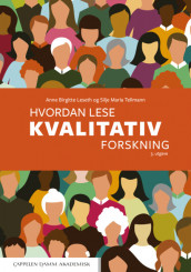 Hvordan lese kvalitativ forskning av Anne Birgitte Leseth og Silje Maria Tellmann (Heftet)
