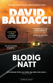 Blodig natt av David Baldacci (Ebok)