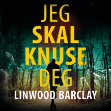 Jeg skal knuse deg av Linwood Barclay (Nedlastbar lydbok)