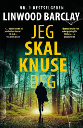 Jeg skal knuse deg av Linwood Barclay (Ebok)
