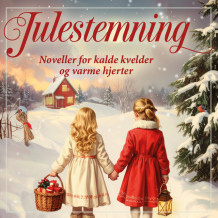Julestemning 2025 av Yvonne Andersen, Trine Angelsen, Ragnhild Havstad, Lukritzia Loven, Mali Ludvigsen, Anne Marie Meyer, Jenny Micko, Jane Mysen og Martine Strømsnes (Nedlastbar lydbok)