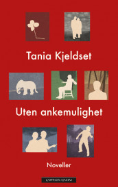 Uten ankemulighet av Tania Kjeldset (Ebok)